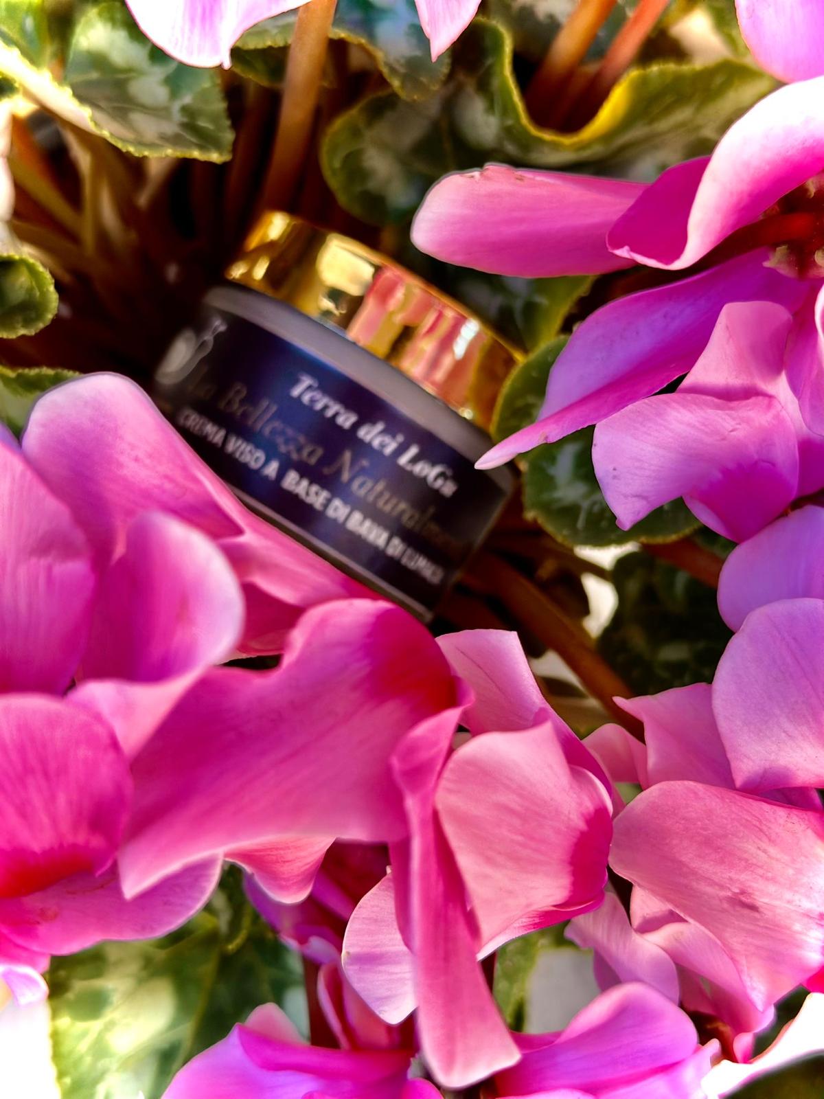 Crema viso La Bellezza