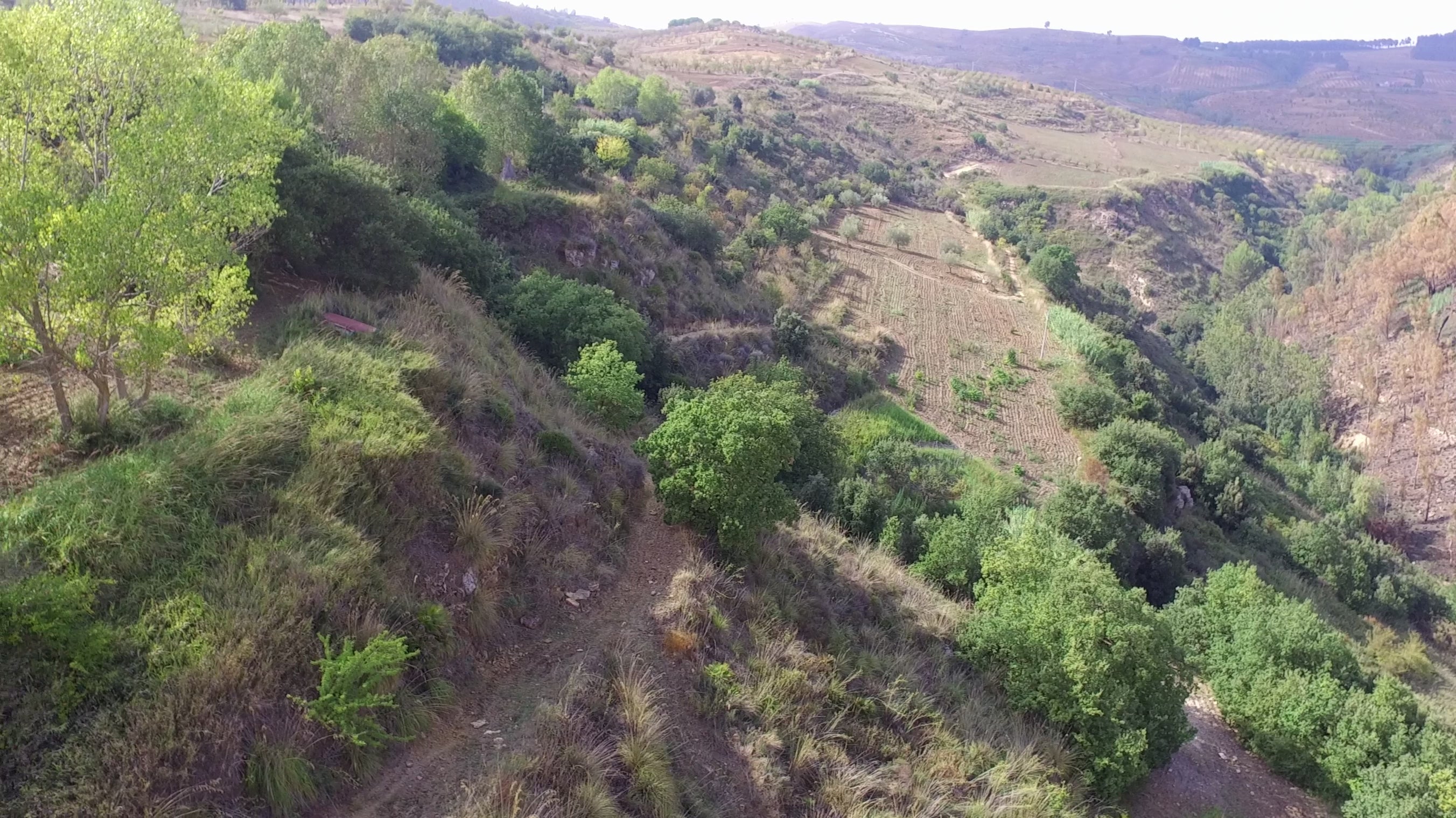 Carica il video: 